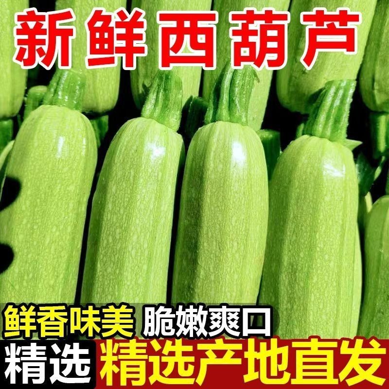 正宗山东西葫芦新鲜现摘现发应季蔬菜当季现摘角瓜一整箱,水产肉类/新鲜蔬果/熟食,西葫芦,淘宝优惠券,粉丝福利购,淘宝优惠卷