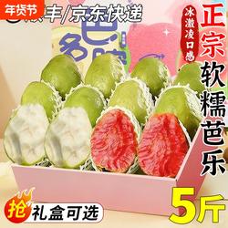 福建漳州软糯芭乐果礼盒装当季现摘台湾番石榴新鲜水果整箱顺丰甜