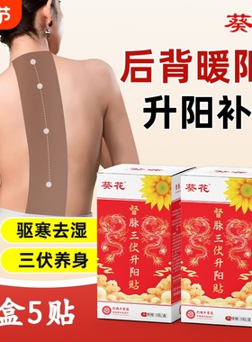 葵花督脉升阳贴龙骨凤脉艾灸贴脾胃热敷暖背去寒暖阳温灸贴