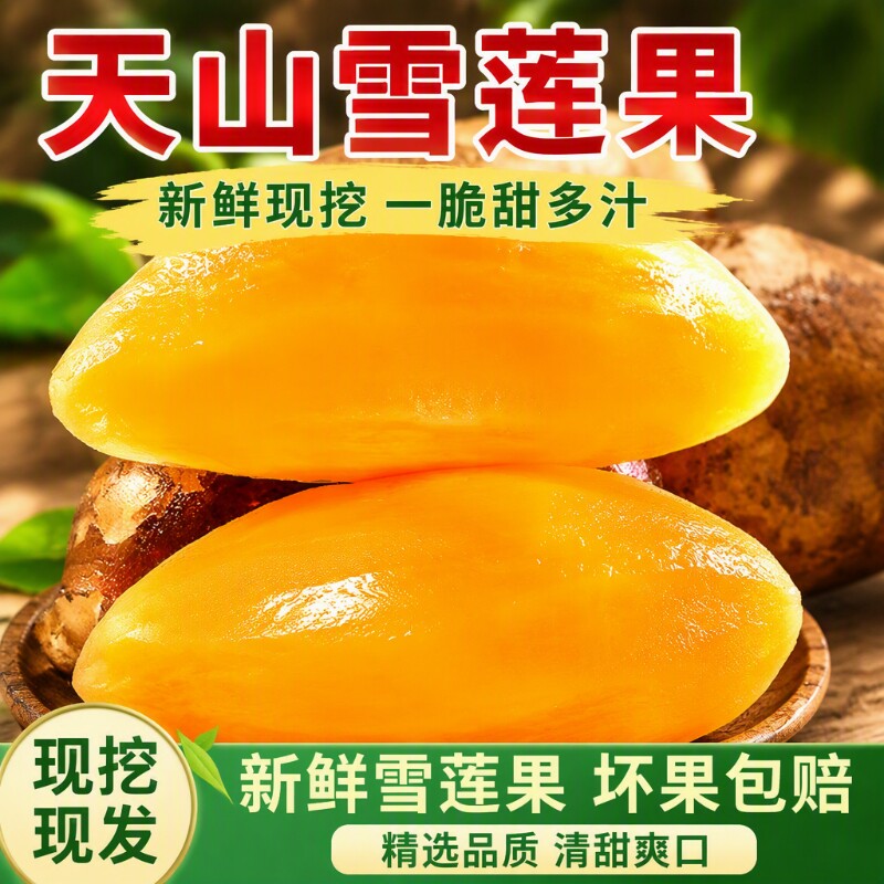 正宗云南天山雪莲果新鲜现挖雪莲果新鲜当季黄心白心雪莲果9斤