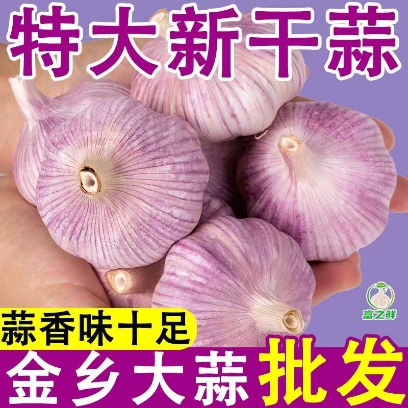 进店快抢新干蒜紫皮大蒜农家山东晒干头新鲜优质干蒜红皮大蒜种子