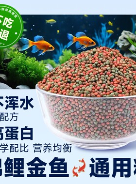 锦鲤金鱼饲料小颗粒鱼食中小型鱼