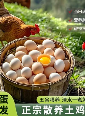 农家散养鲜鸡蛋当日现捡土鸡蛋营养柴鸡蛋早餐食材45g谷物喂养