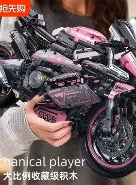 宝马双R摩托车M1000RR积木机械组成年高难度益智拼装模型玩具男孩