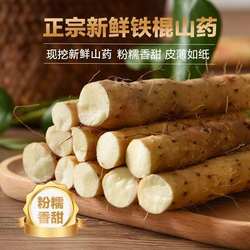 自种正宗铁棍山药蠡县麻山药小白嘴山药新鲜山药粉糯产地直发