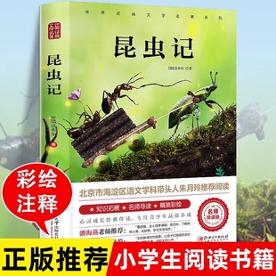 昆虫记法布尔正版小学生三年级下册 彩图美绘四年级上册原著完整版八年级上册阅读课外书必读全套一青少年朱月玲推荐名著读物原版