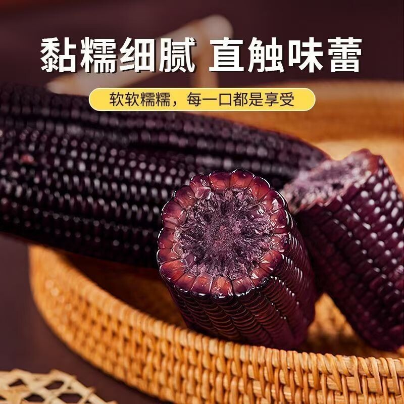 东北黑糯玉米独立黏黏甜糯玉米紫玉米减健身代餐