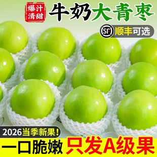 云南牛奶大青枣新鲜现摘5斤水果当季脆甜苹果枣蜜枣贵妃冬枣整箱