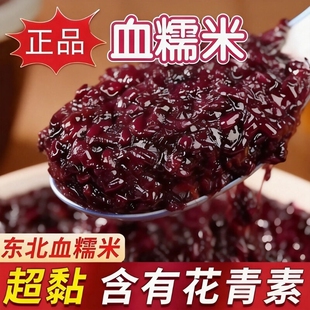 正宗新货血糯米杂粮黑糯米紫米血糯米东北饭团粽子奶茶专用批发