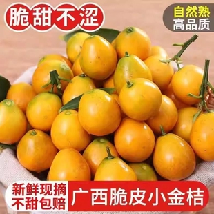 小金桔广西融安脆皮金桔新鲜当季水果蜜柑代金橘5斤纯甜脆甜甜蜜