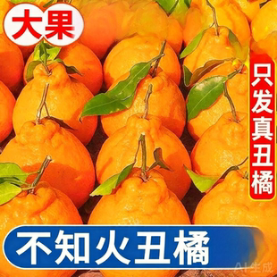 四川丑橘水果新鲜当季桔子耙耙粑粑丑柑橘子