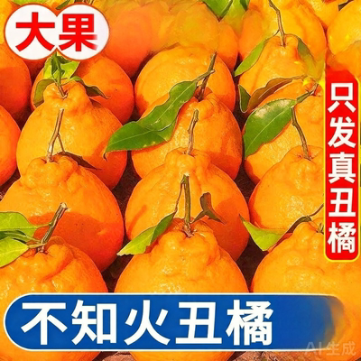 四川丑橘水果新鲜当季桔子耙耙粑粑丑柑橘子