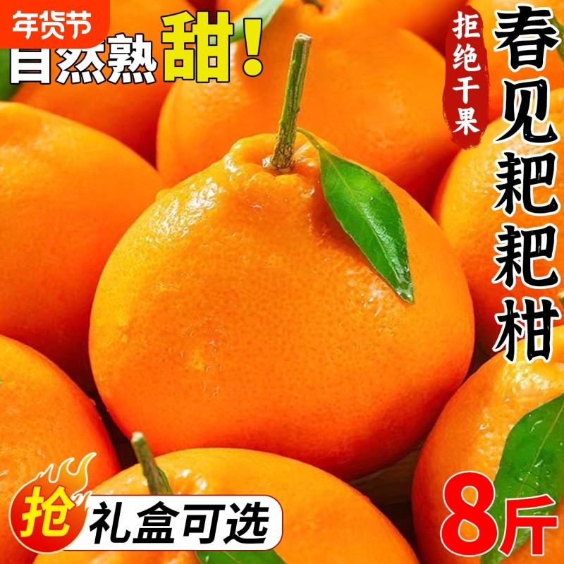 正宗四川春见耙耙柑8斤新鲜水果当季丑粑粑桔不橘子知火包邮脆皮,水产肉类/新鲜蔬果/熟食,桔子,淘宝优惠券,粉丝福利购,淘宝优惠卷