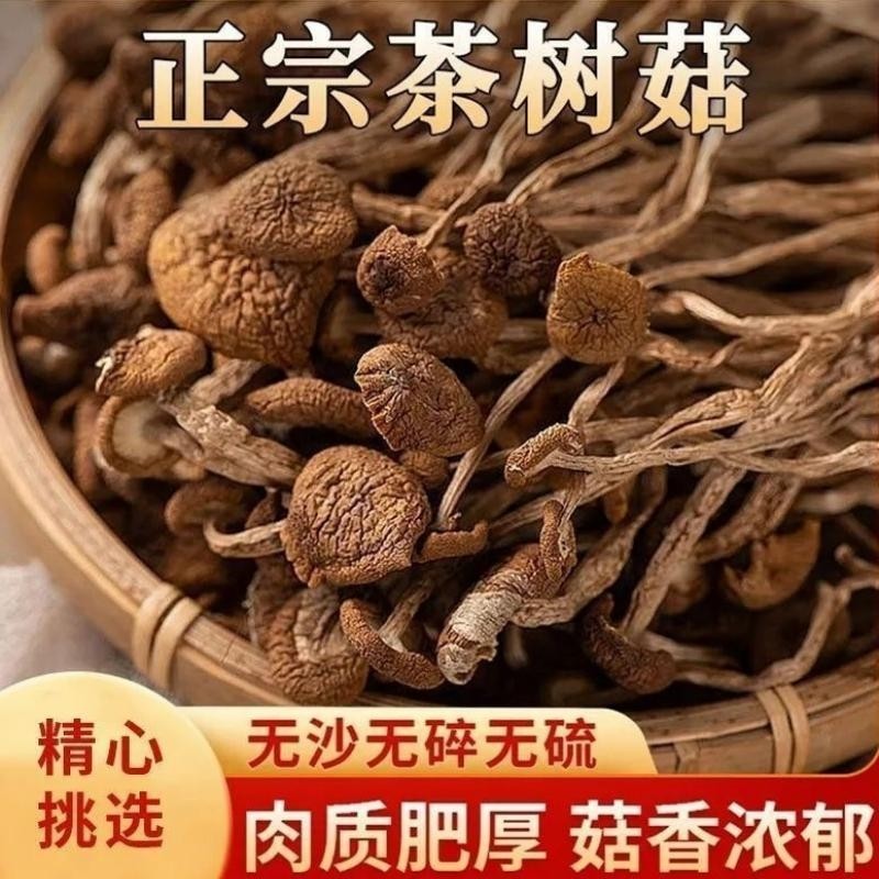 福建古田正宗茶树菇干货农家无土珍珠菇菌菇香菇食用煲汤凉拌新货