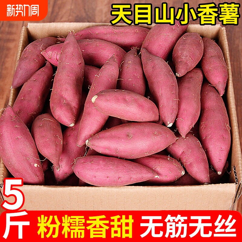 浙江天目山小香薯红薯新鲜粉糯香甜地瓜临安小番薯板栗薯黄心
