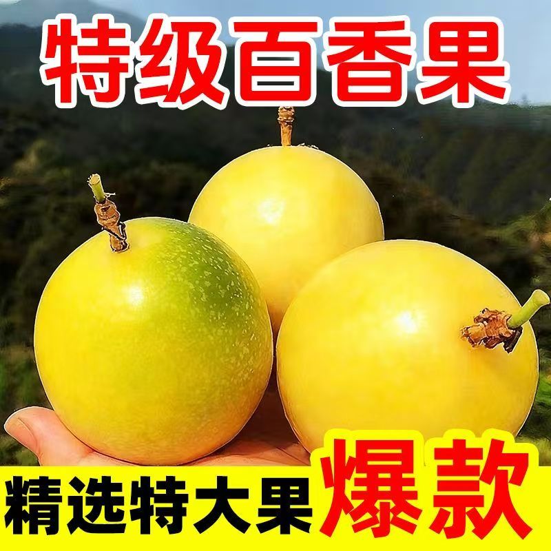 钦蜜9号黄金百香果孕妇水果新鲜广西白香果酱纯原浆纯甜整箱包邮