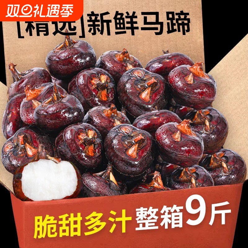 新鲜现挖马蹄新鲜水果荸荠地栗蔬菜当季超甜大果土特产农家自种