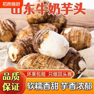 山东现挖牛奶小芋头【净重4.5斤】