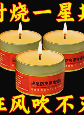 应急照明灯物资无烟无味防凤蜡烛