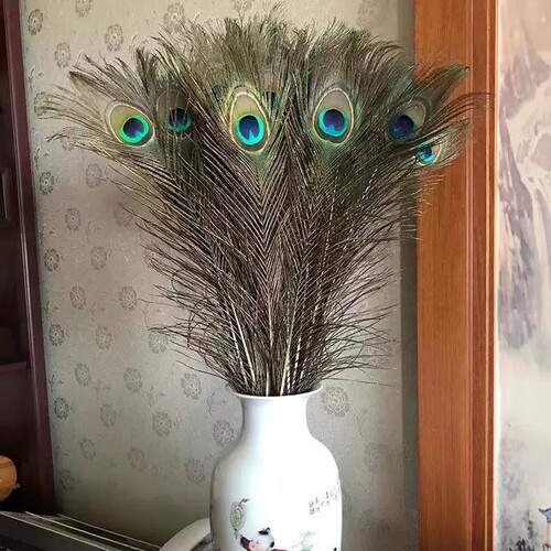 天然真孔雀羽毛翎尾大眼睛客厅摆件花瓶插花装饰品DIY配件孔雀毛