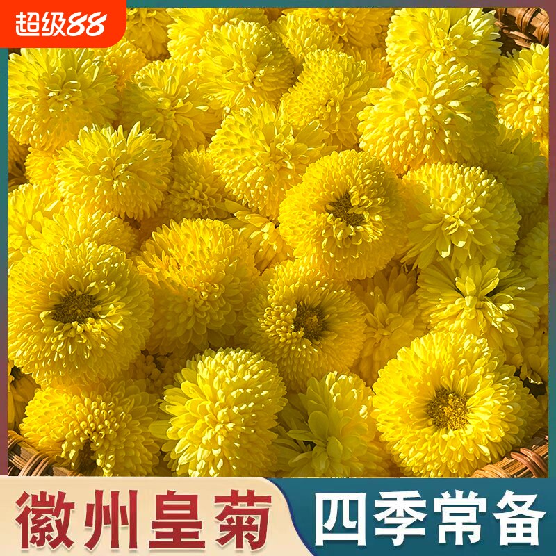 菊花茶徽州皇菊婺源皇菊500g黄山贡菊黄菊花草茶散装泡水非特级
