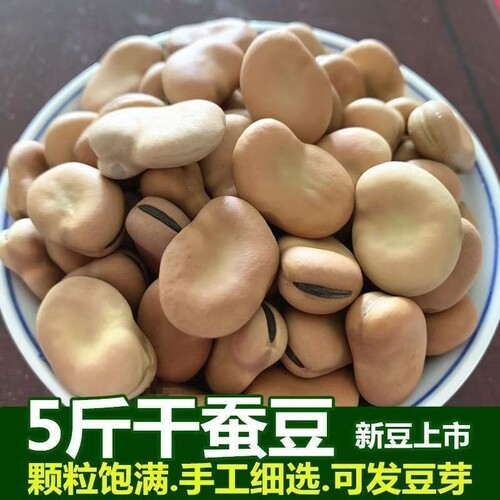 5斤云南白蚕豆批发农家新鲜五谷杂粮罗汉豆白皮半斤新货干货