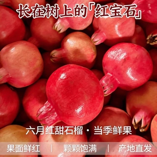 头茬六月红软籽甜石榴中大果净重3斤