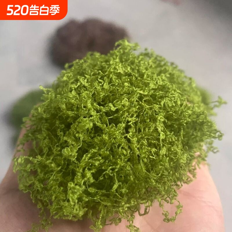 仿真苔藓丝青苔植绒水草鱼缸造景假山草皮草坪皮盆栽水族箱花盆