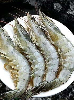 海捕白虾鲜活速冻盐冻大虾 单冻白对虾冷冻海虾生鲜水产海鲜食材