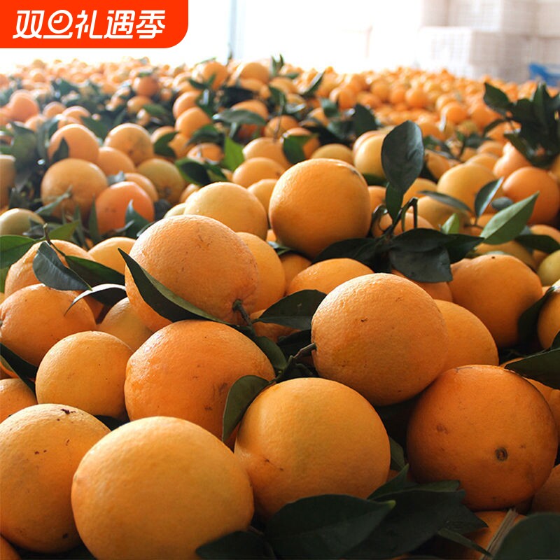 正宗江西赣南脐橙5/9斤装新鲜水果应季橙子整箱包邮
