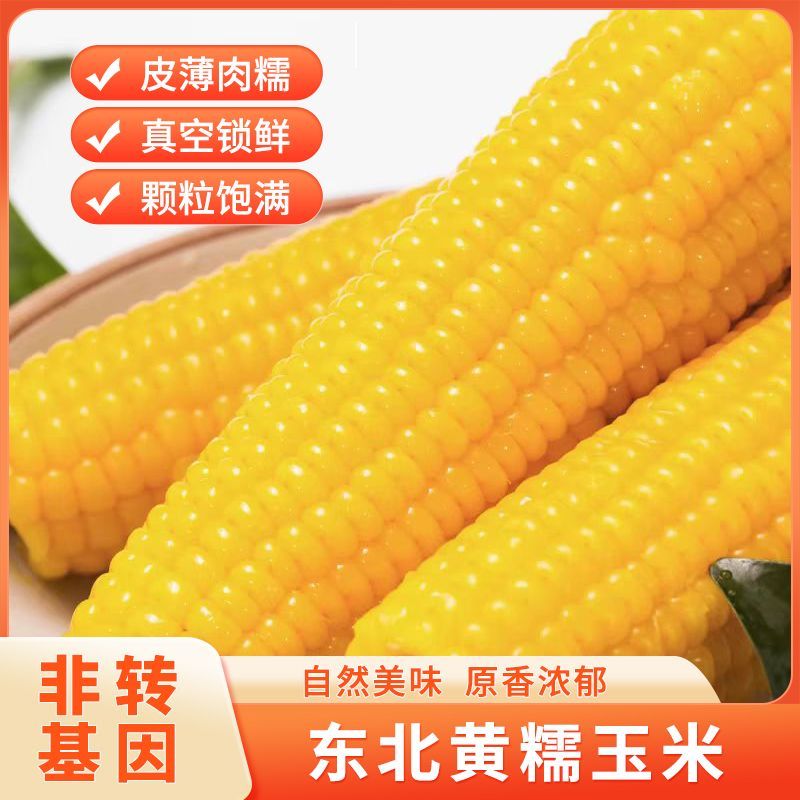 东北黄糯玉米5斤10根新鲜无添加低脂非转基因真空袋装代餐