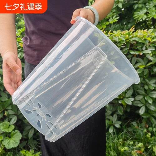 高透明大口径控根盆透气防烂根