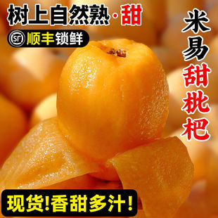 【顺丰】四川攀枝花米易枇杷鲜果大果枇杷芒五星枇杷果当季水果