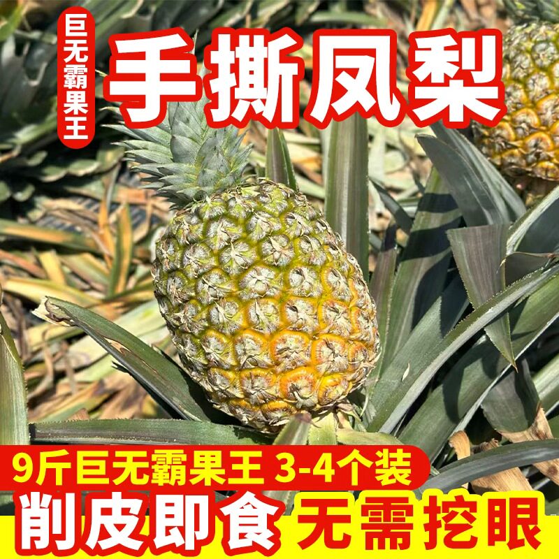 9斤装带箱云南手撕凤梨新鲜水果整箱当季新鲜水果单果3斤左右