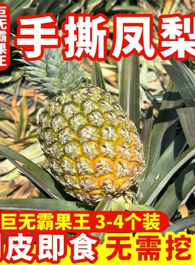 9斤装带箱云南手撕凤梨新鲜水果整箱当季新鲜水果单果3斤左右