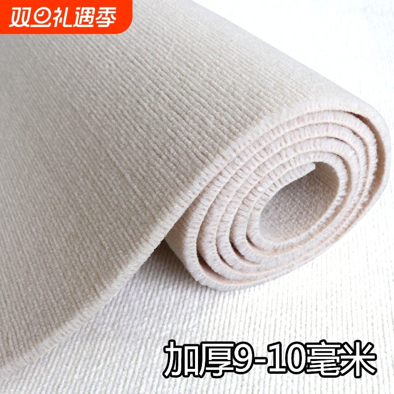 地毯床边卧室飘窗垫可裁剪办公室垫子大面积全铺房间Q23拍摄阳台