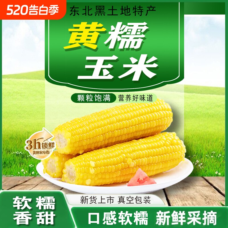 黄糯玉米东北玉米黄金糯玉米早餐轻食低脂真空装优选粗粮新鲜香甜