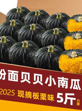 正宗贝贝南瓜小南瓜蒸煮