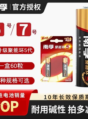 南孚电池聚能环5代碱性电池