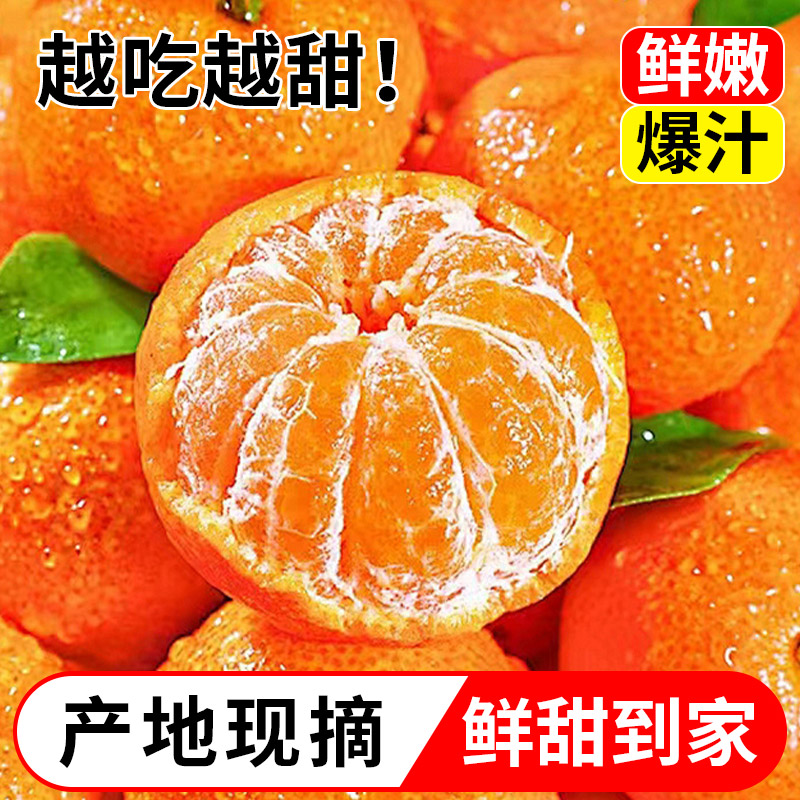 正宗湖北枝江砂糖橘小叶桔金秋桔子新鲜水果当季现摘2斤整箱包邮