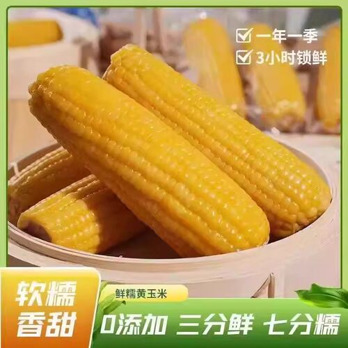 新鲜头茬东北黄糯玉米黑土种植真空包装只产0糯玉米真空装早餐