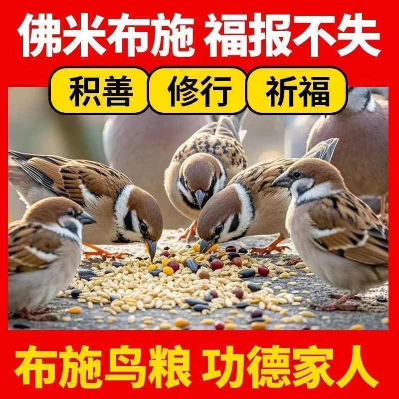 布施鸟专用鸟粮五色黍子鹦鹉斑鸠麻雀喜鹊鸟饲料小型鸟食混合粮食