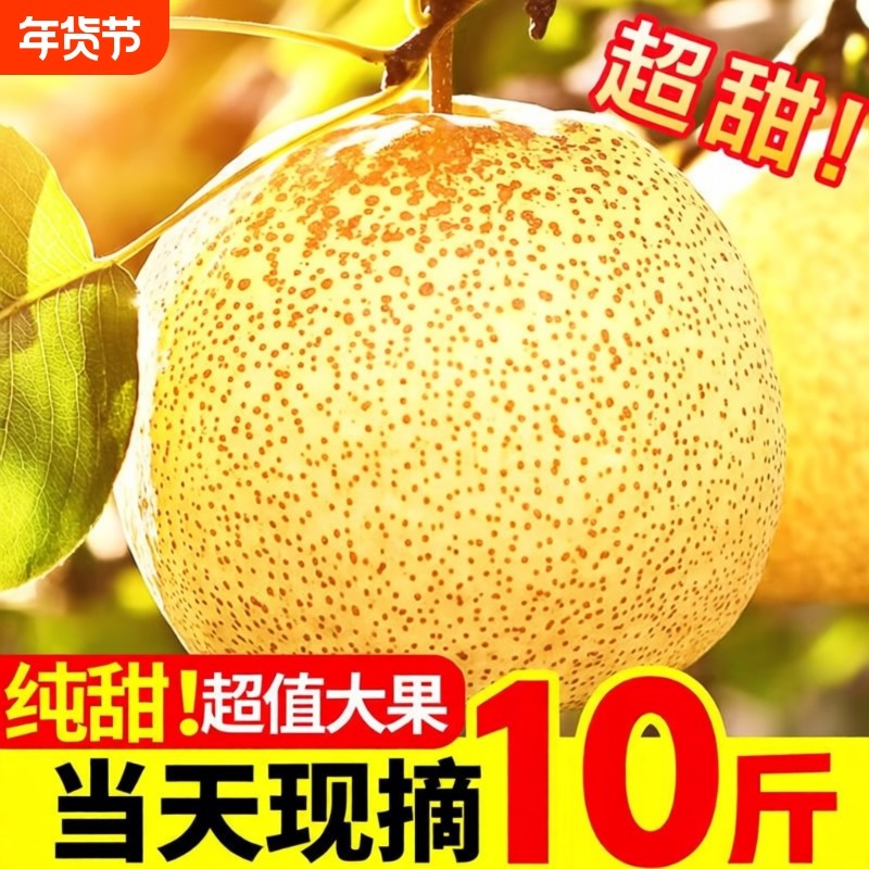 应季梨子新鲜10斤安徽正宗砀山梨砀山酥梨整箱水果梨雪香现摘自提,水产肉类/新鲜蔬果/熟食,梨,淘宝优惠券,粉丝福利购,淘宝优惠卷