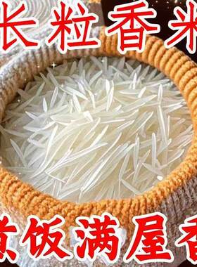 当季现磨农家新米长粒香米产地直供猫牙米象牙米煮饭清香不沾大米