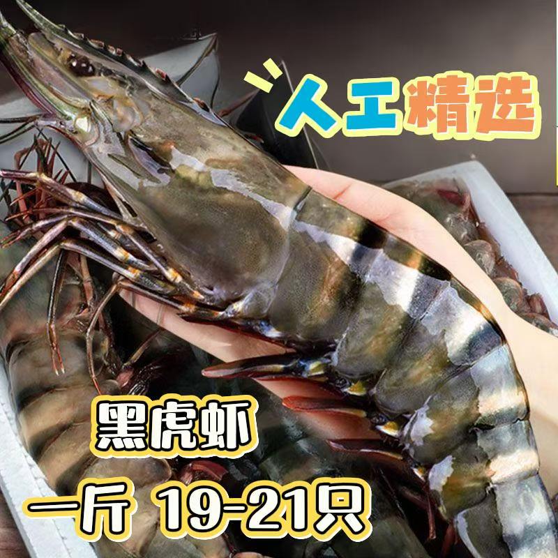 特大黑虎虾斑节九节虾大虎虾 竹节虾超大速冻海鲜水产一斤19-21只