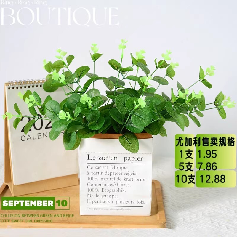 仿真单支金钱草尤加利绿植把束家居森系绿叶装饰塑料花假花批发