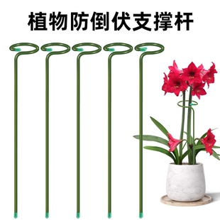 铁艺支撑架植物支撑杆花固定盆栽防倒伏花架子绣球花盆绿植蝴蝶兰
