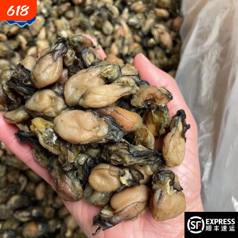 生蚝耗豉干牡蛎海蛎牲蛎特产干货新鲜蚝豉肉福建淡干海味海鲜干货