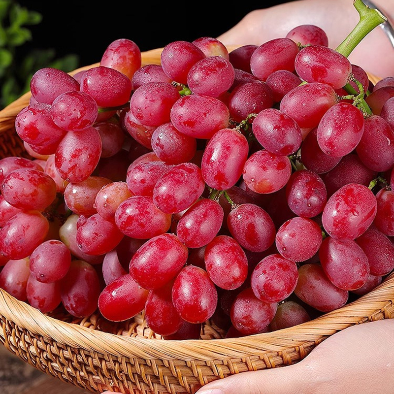 [吾夏甄选]新疆正宗克伦生葡萄无籽红提孜然树熟4斤顺丰空运包邮