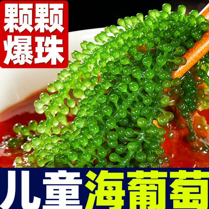 海葡萄新鲜儿童水葡萄绿色鱼子酱海藻凉拌菜盐渍水葡萄爆珠浆海草